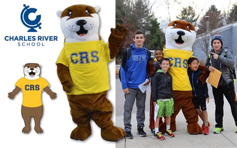 Custom Mascot Outfit Providers: Local vs. Online Options